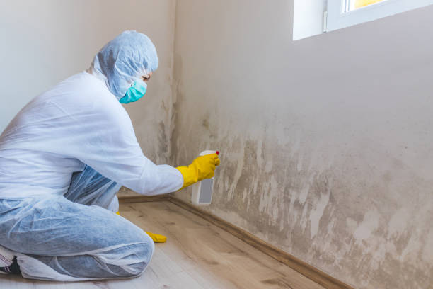 Bathroom Mold Removal assessment in Coral Springs bathroom