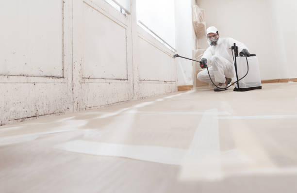 Post-remediation clearance in Coral Springs
